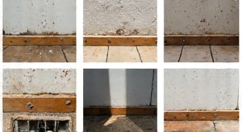 Die 6 häufigsten Fehler bei Mietmängeln