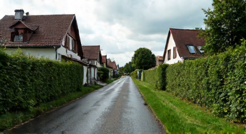 Die 6 häufigsten Fehler bei Nachbarrecht und Starkregen