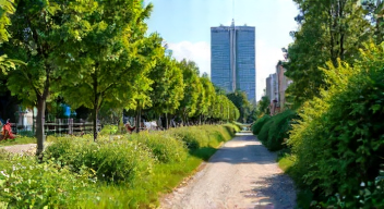 Ökonomische Auswirkungen von Schottergärten (7/10)