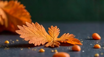 Perspektiven zu Widersprüchlichen Angeboten sind entscheidend